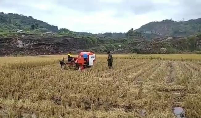 Bumdes Subur Makmur Desa Legok Kaler, Kecamatan Paseh, Kabupaten Sumedang mampu menyulap lahan tidak produktif bekas Galian C di Dusun Cileuksa menjadi areal pesawahan.