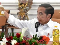 Ini Alasan Presiden Jokowi Cabut Subsidi Minyak Goreng