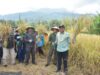 Bupati Sumedang Jadikan Desa Cikurubuk Role Model Budi Daya Padi Organik di Jabar