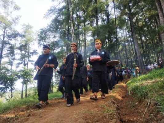 Lembaga Adat Desa (LAD) Desa Mekarasih, Kecamatan Jatigede menggelar ritual tradisi Mipit di pesawahan Ciboboko, Sabtu (25/6/2022).