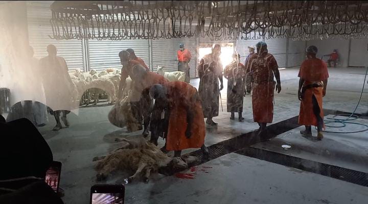 Rombongan jamaah haji Indonesia tamattu’ yang dipimpin KH. Asep Fuad Adnan melaksanakan penyembelihan dam di Mina, Selasa (27/5/2025).