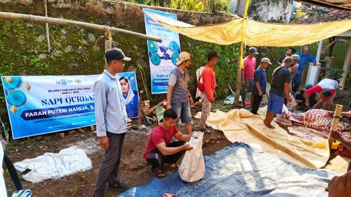 Jaringan relawan Baraya Neng Farah, Farah Puteri Nahlia mendistribusikan 16 ekor sapi kurban dan 3.000 bingkisan rendang ke berbagai titik di daerah pemilihannya, yakni Kabupaten Subang, Majalengka, dan Sumedang (Dapil Jabar IX).