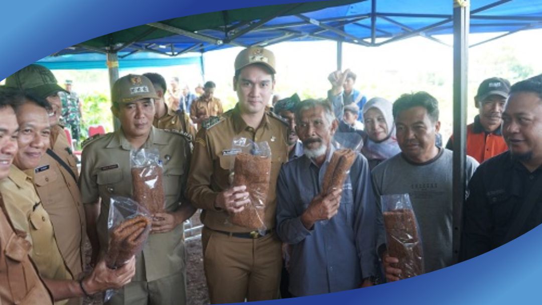 Wakil Bupati Sumedang, Fajar Aldila, menegaskan peran pemerintah dalam membantu petani tembakau hadapi penurunan harga. Pemda manfaatkan DBHCHT untuk infrastruktur.