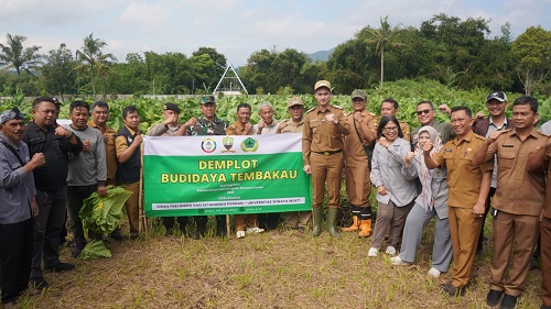Universitas Winayamukti (UNWIM) Tanjungsari siapkan lahan 7 hektare untuk budidaya tembakau sebagai show window edukatif. Wakil Rektor ajak masyarakat belajar bersama.