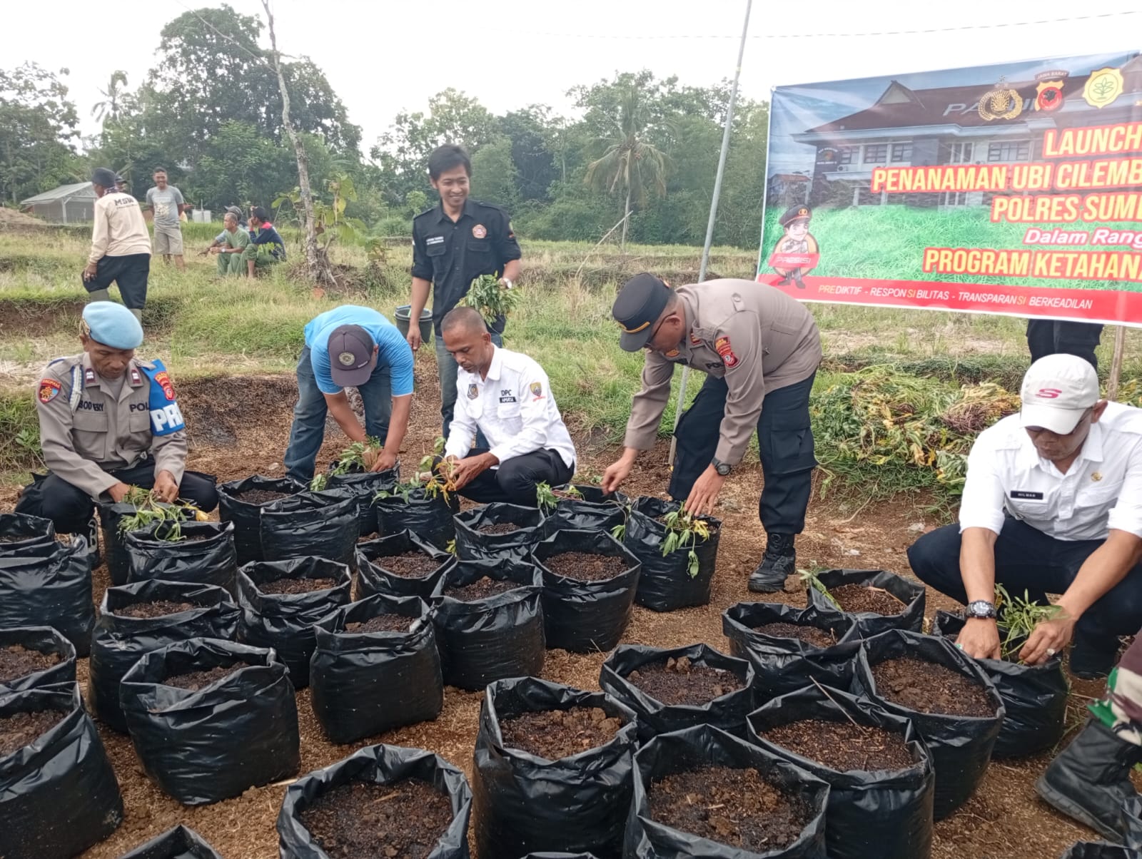Kapolsek Darmaraja, AKP Adang Sobari, SH., bersama jajaran Forkopimcam Darmaraja melaksanakan kegiatan penanaman 500 bibit ubi Cilembu dalam polibag di Desa Darmajaya, Kecamatan Darmaraja, Kabupaten Sumedang, Rabu (15/10/2025).